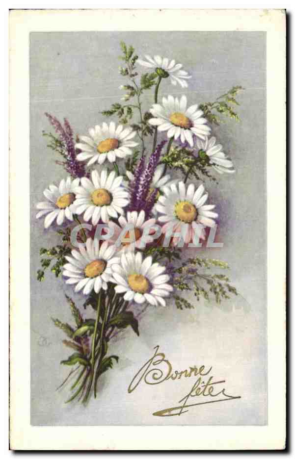 CPA Fantaisie Fleurs 