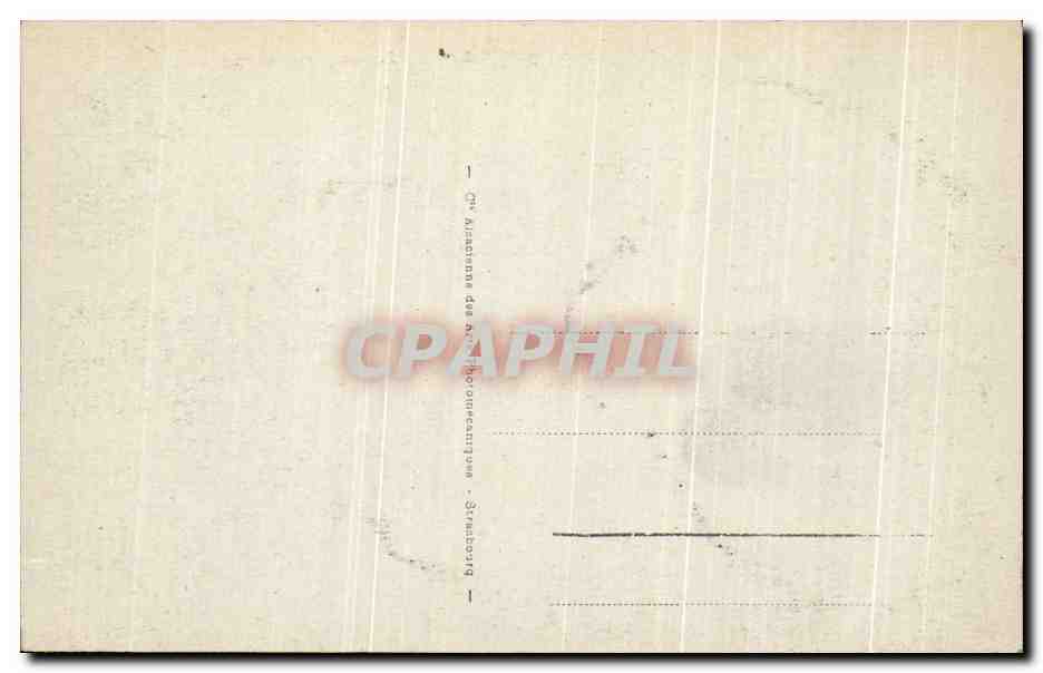 CPA Le Mont Dore Paturage Sancy Vaches — Verso