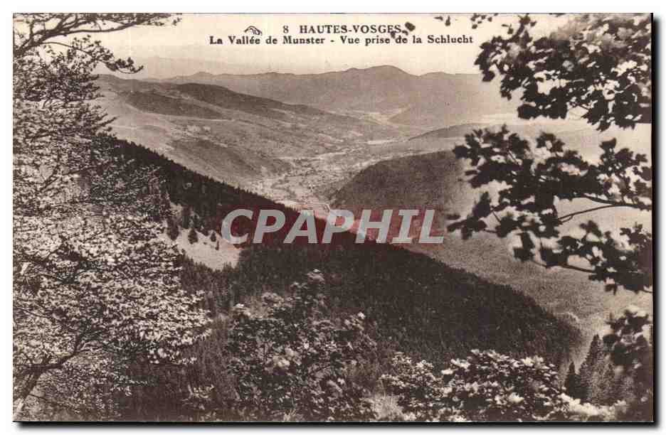 La Vallée de Munster - Vue prise de la Schlucht — Hautes-Vosges, éditeur Alsace