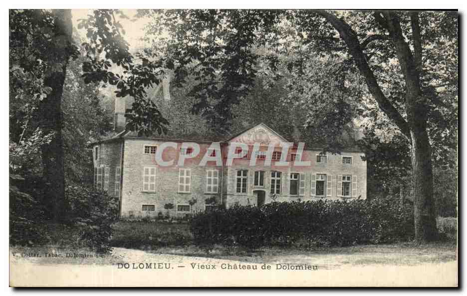 CPA Dolomieu Vieux Chateau