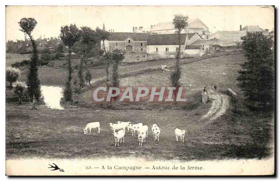 CPA A La Campagne Autour De La Ferme Vaches 