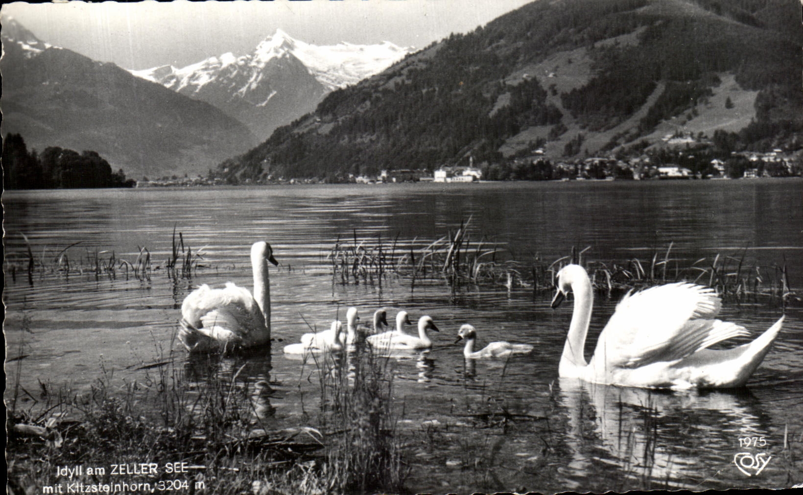 Idyll am ZELLER SEE — mit Kitzsteinhorn, 3204 m — éditeur Echite Photographie, N° 22