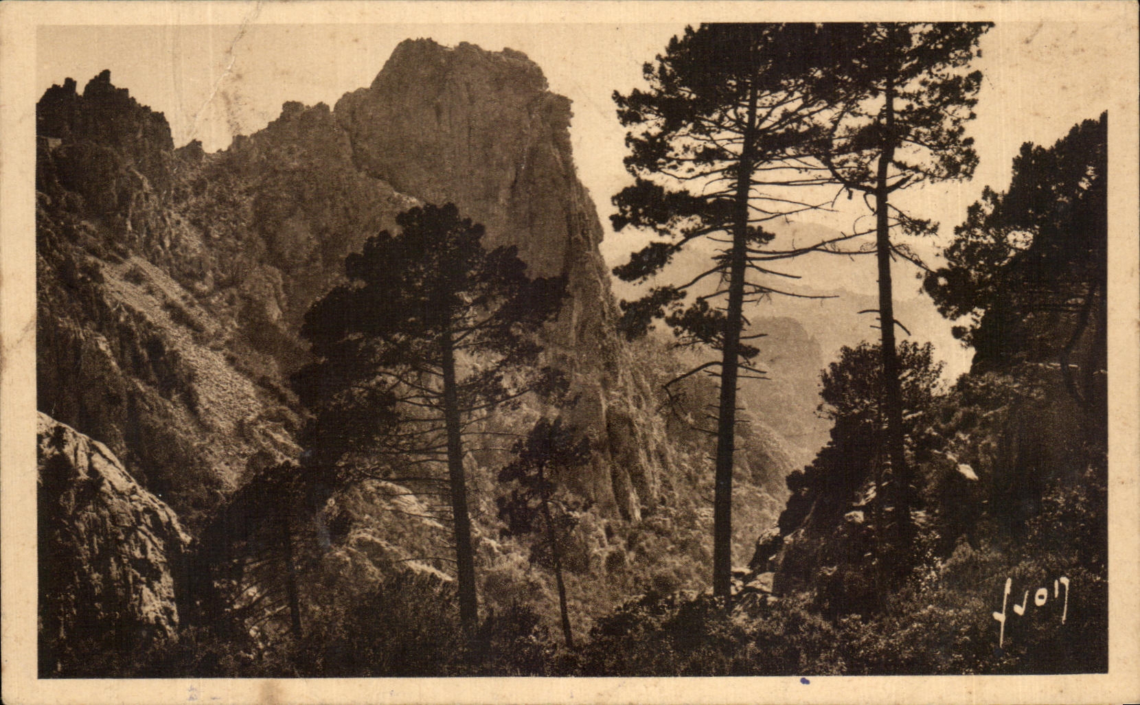CPA Piana Vue Generale des Calanche Corse Corsica