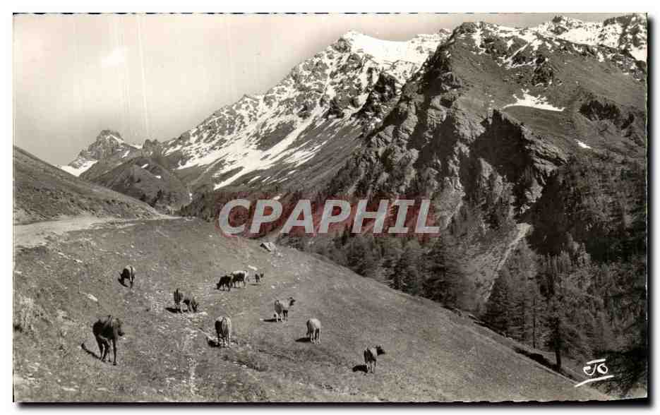 Die Alpen - Saint-Véran (2042 m.) — Weiden. Tête des Taillies (3176 m.) — Gipfel der Farneireta (3133 m.) — Verlag ABEIL, GAP