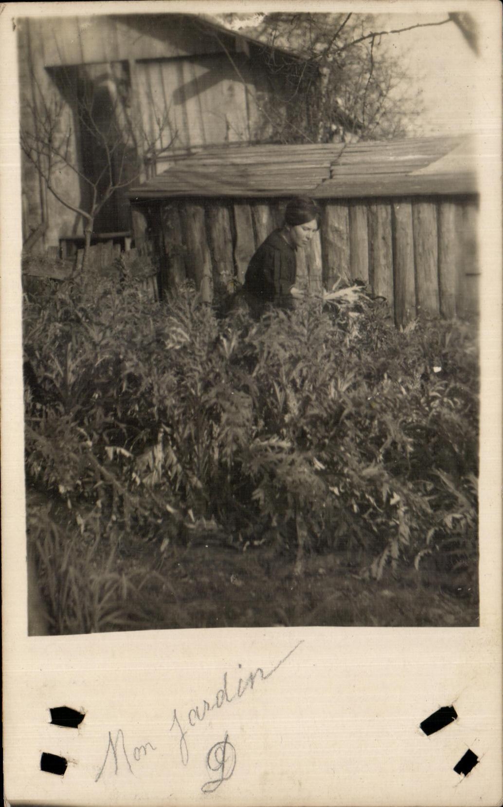 Jardin — femme en pleine activité — Carte postale
