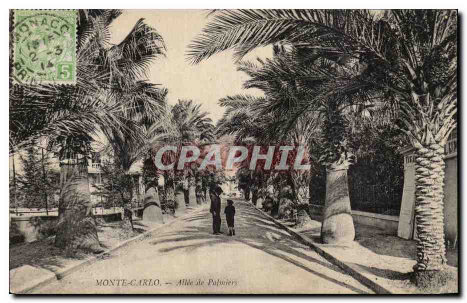 CPA Mont Carlo Allee De Palmiers