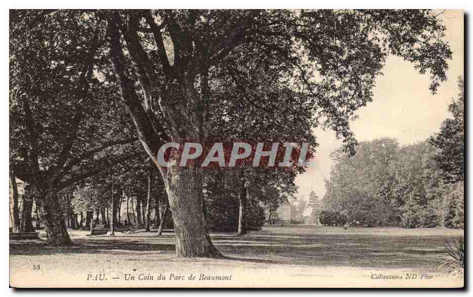 Pau — Un Coin du Parc de Beaumont — Collections ND Phot