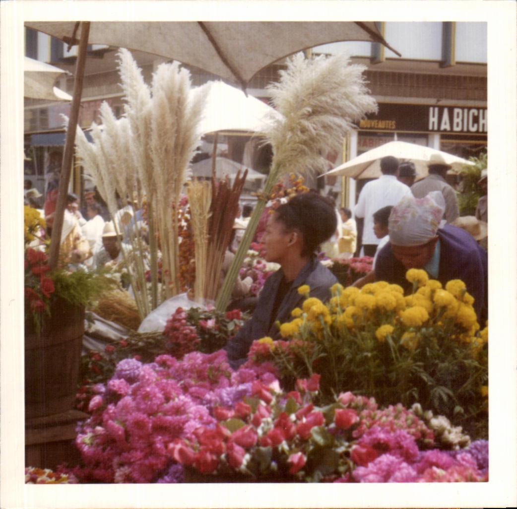Photo Fleuriste Fleurs