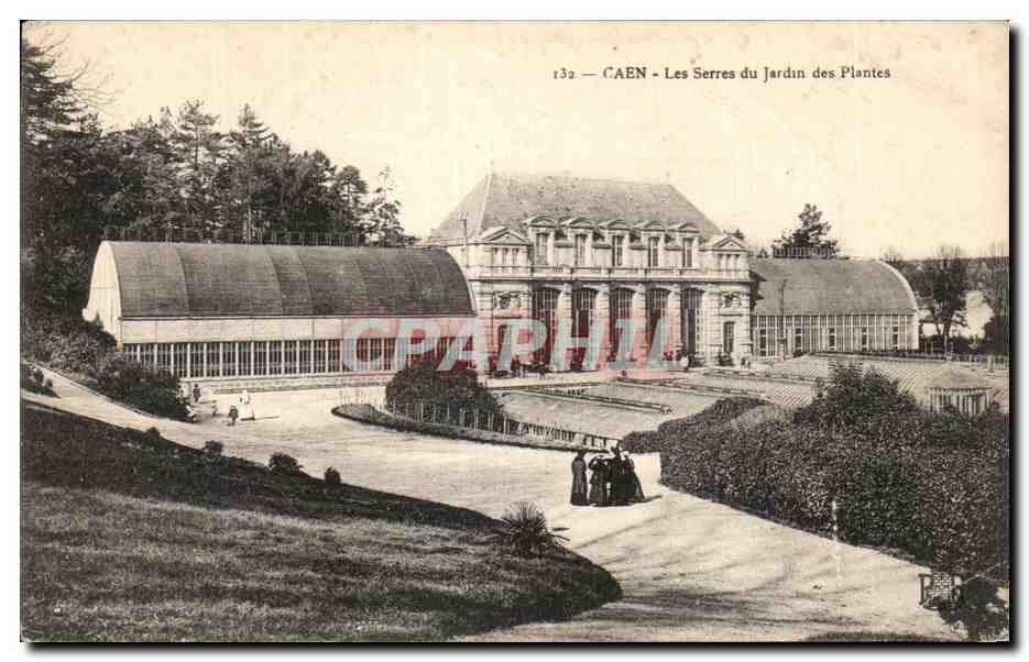 CAEN — Les Serres du Jardin des Plantes — éditeur CPAPHIL, n° 132