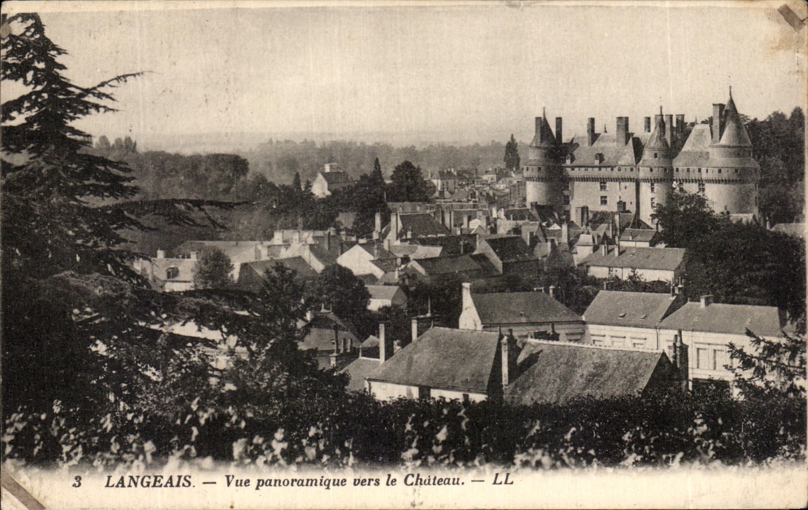 CPA Langeais Vue Panoramique vers le Chateau
