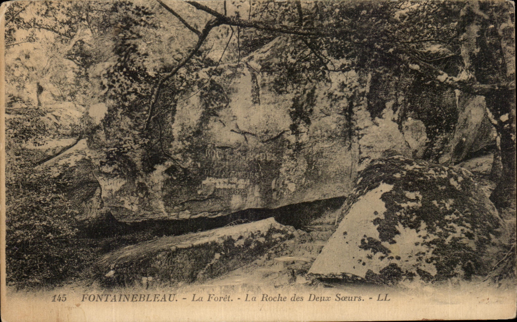Fontainebleau - La Foresta - La Roche des Deux Sœurs - LL