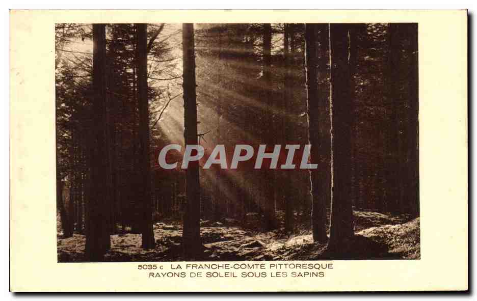 La Franche-Comté pittoresque — Rayons de soleil sous les sapins — Collection La Franche-Comté, Braun & Cie, Mulhouse-Dornach
