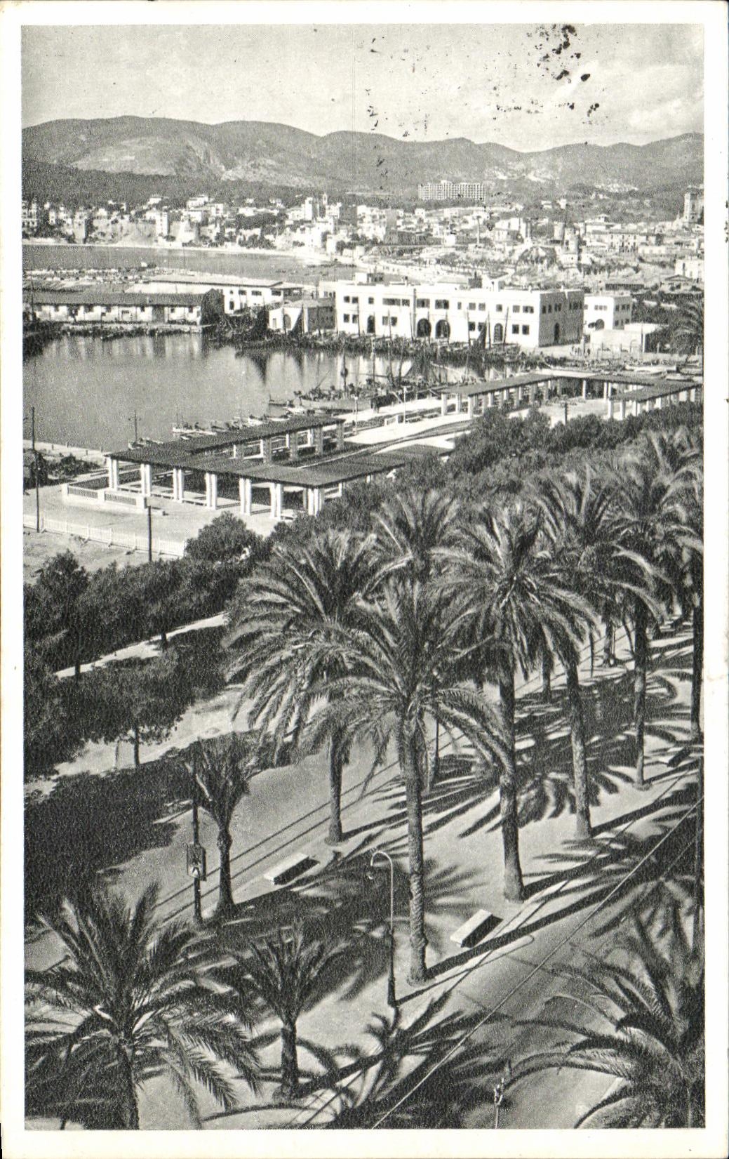 CPA Palma Paseo De Sagrera Promenade De Sagrera