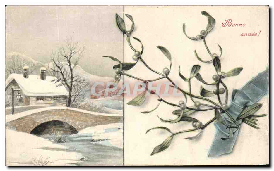 CPA Fantaisie Bonne annee Gui Fleurs 