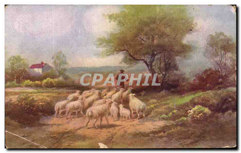 CPA Fantaisie Berger et moutons