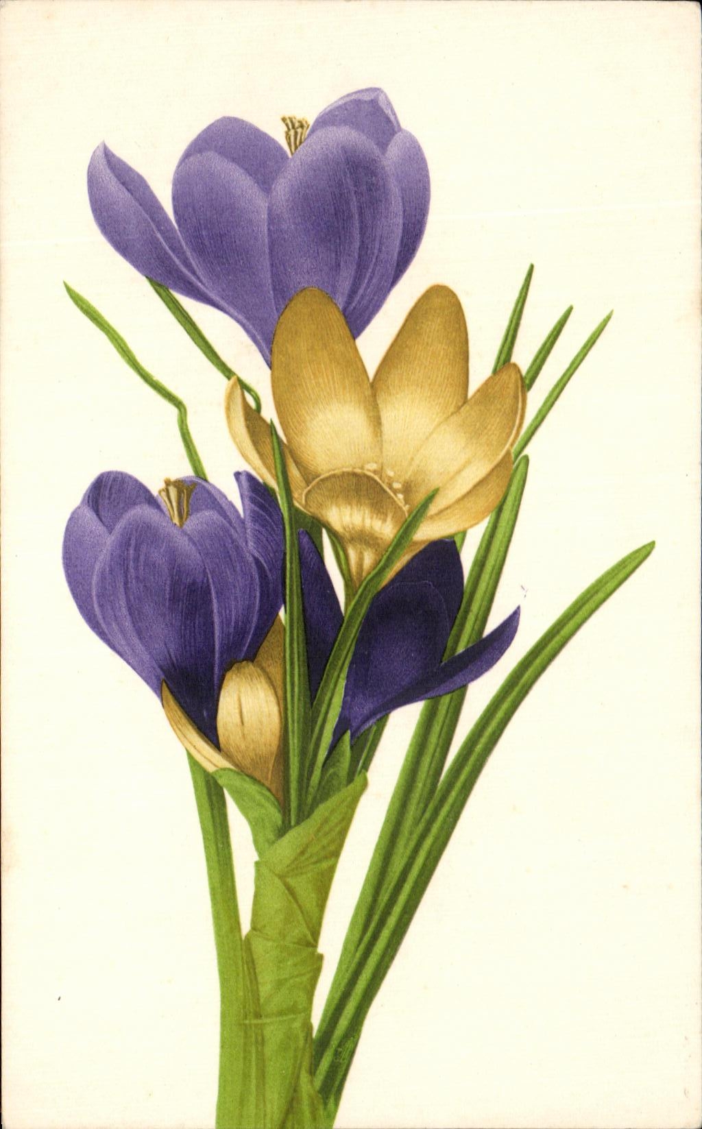 CPA Fantaisie Fleurs 