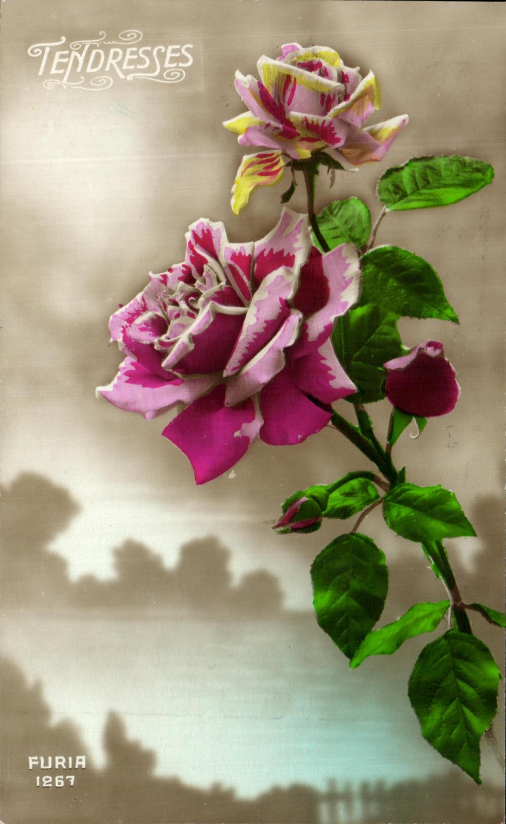 CPA Fantaisie Fleurs 