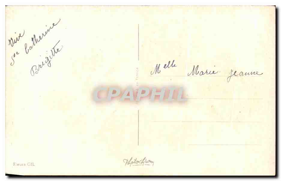 CPA Fantaisie Fleurs Roses — Verso