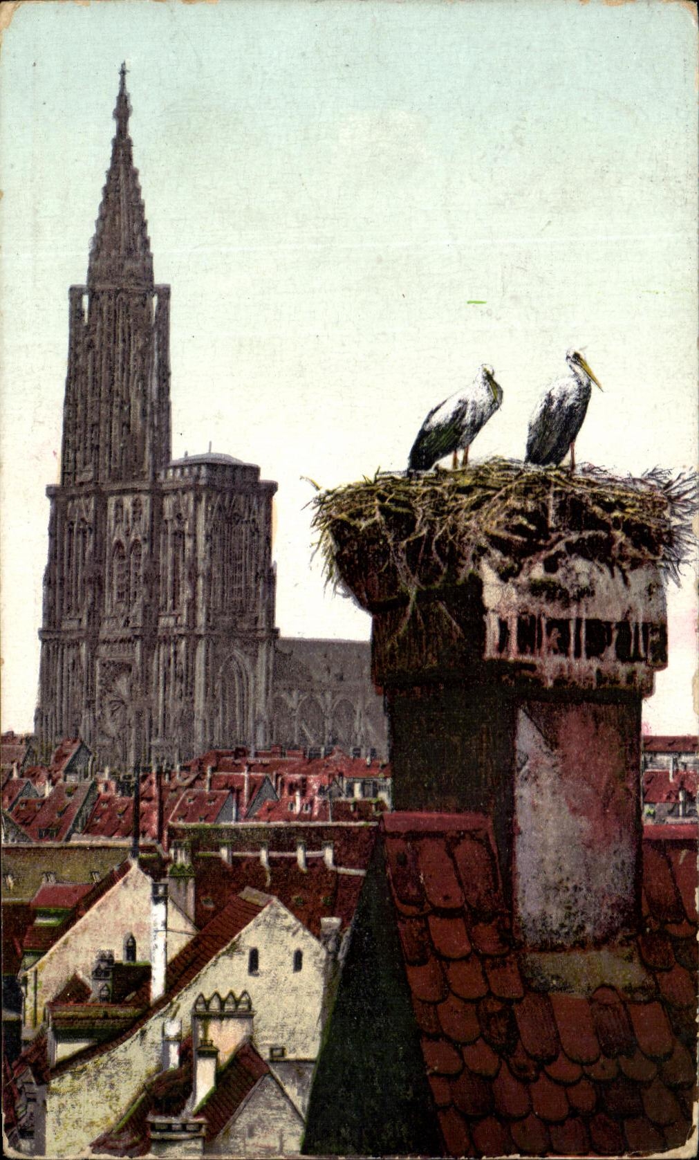 Strasbourg - Storchennest — éditeur Kunstverlag E. Hartmann, n° VII 1566