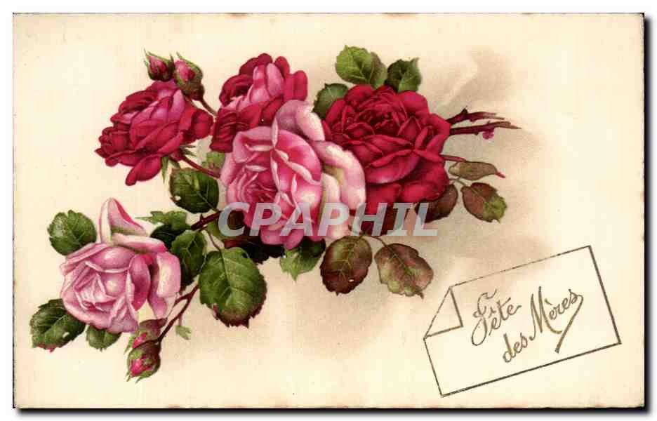 CPA Fantaisie Fleurs 