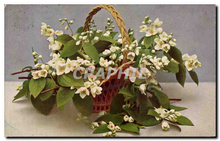 CPA Fantaisie Fleurs 