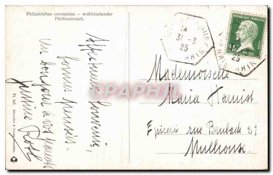 CPA Fantaisie Fleurs  — Rückseite