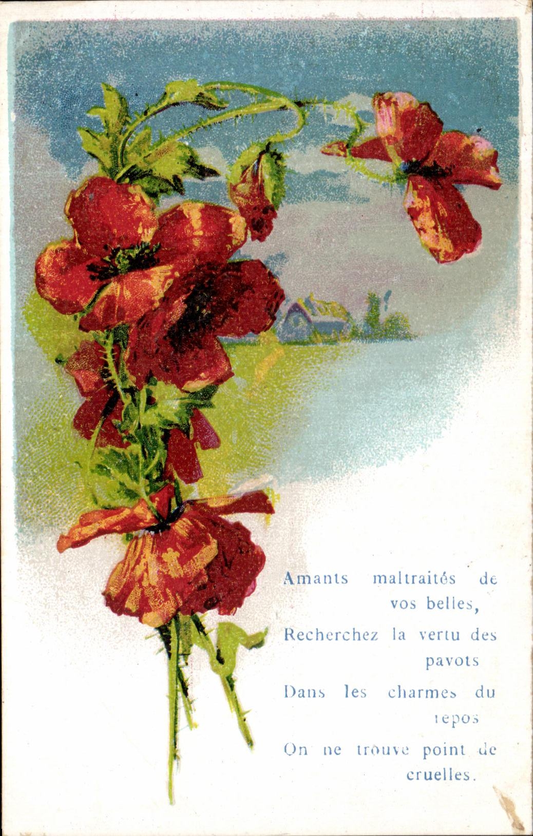 CPA Fantaisie Fleurs Pavot