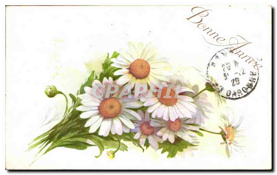 CPA Fantaisie Fleurs 