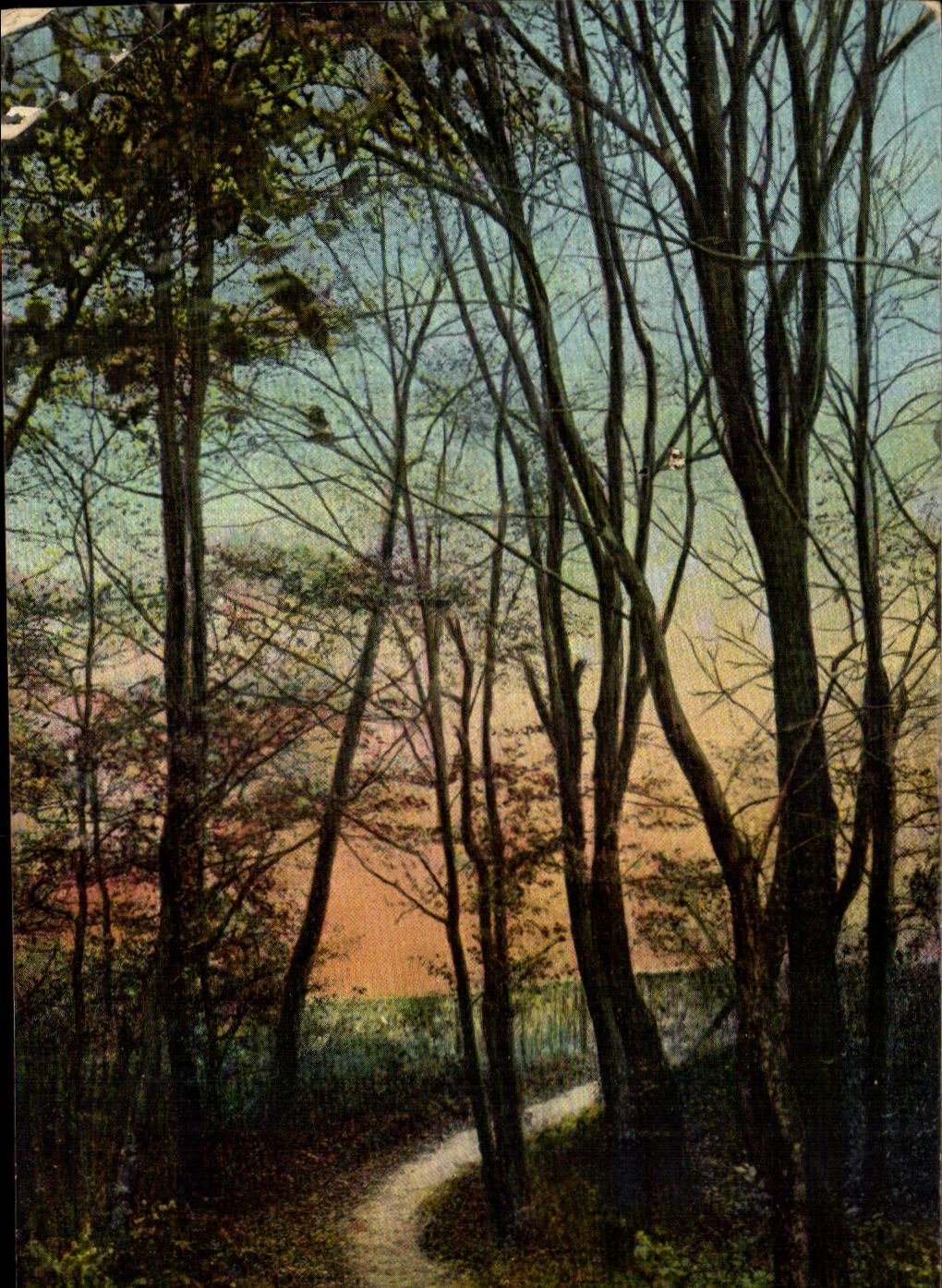 CPA Fantaisie Sous Bois arbres 