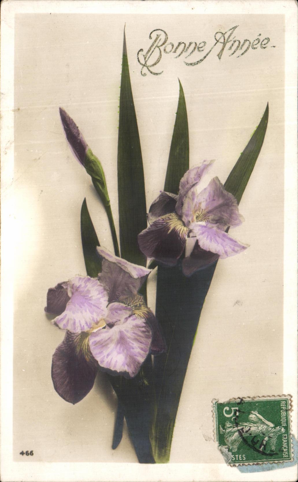 CPA Fantaisie Fleurs 