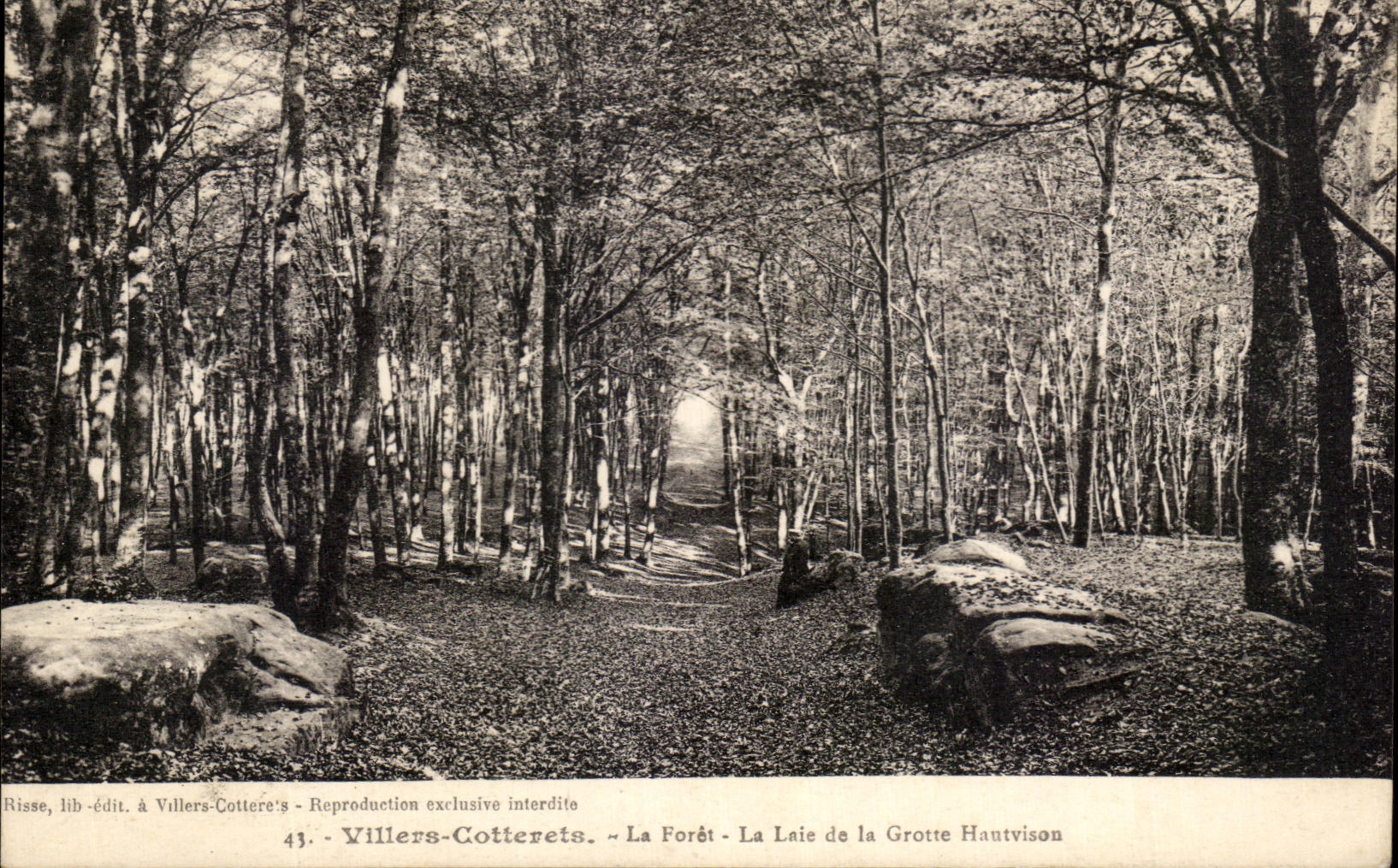 Villers-Cotterets - La Forêt - La Laie de la Grotte Hautvison — Risse, lib.-édit. à Villers-Cotterets, n°43