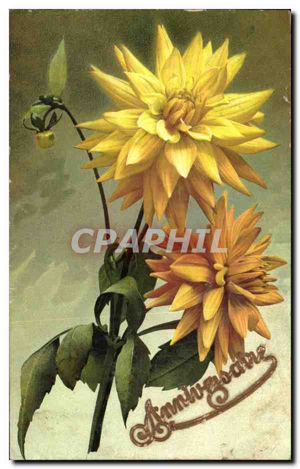 CPA Fantaisie Fleurs 