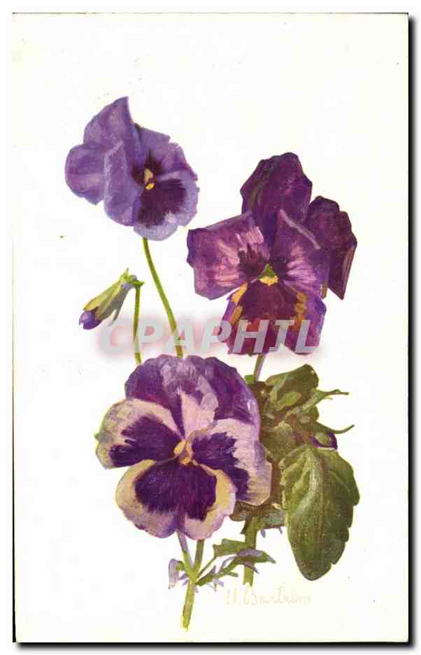 CPA Fantaisie Fleurs