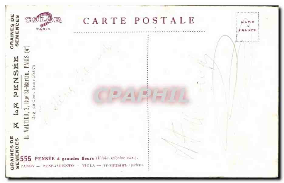 CPA Fantaisie Fleurs — Verso