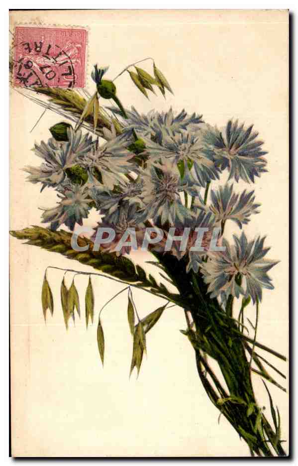 CPA Fantaisie Fleurs