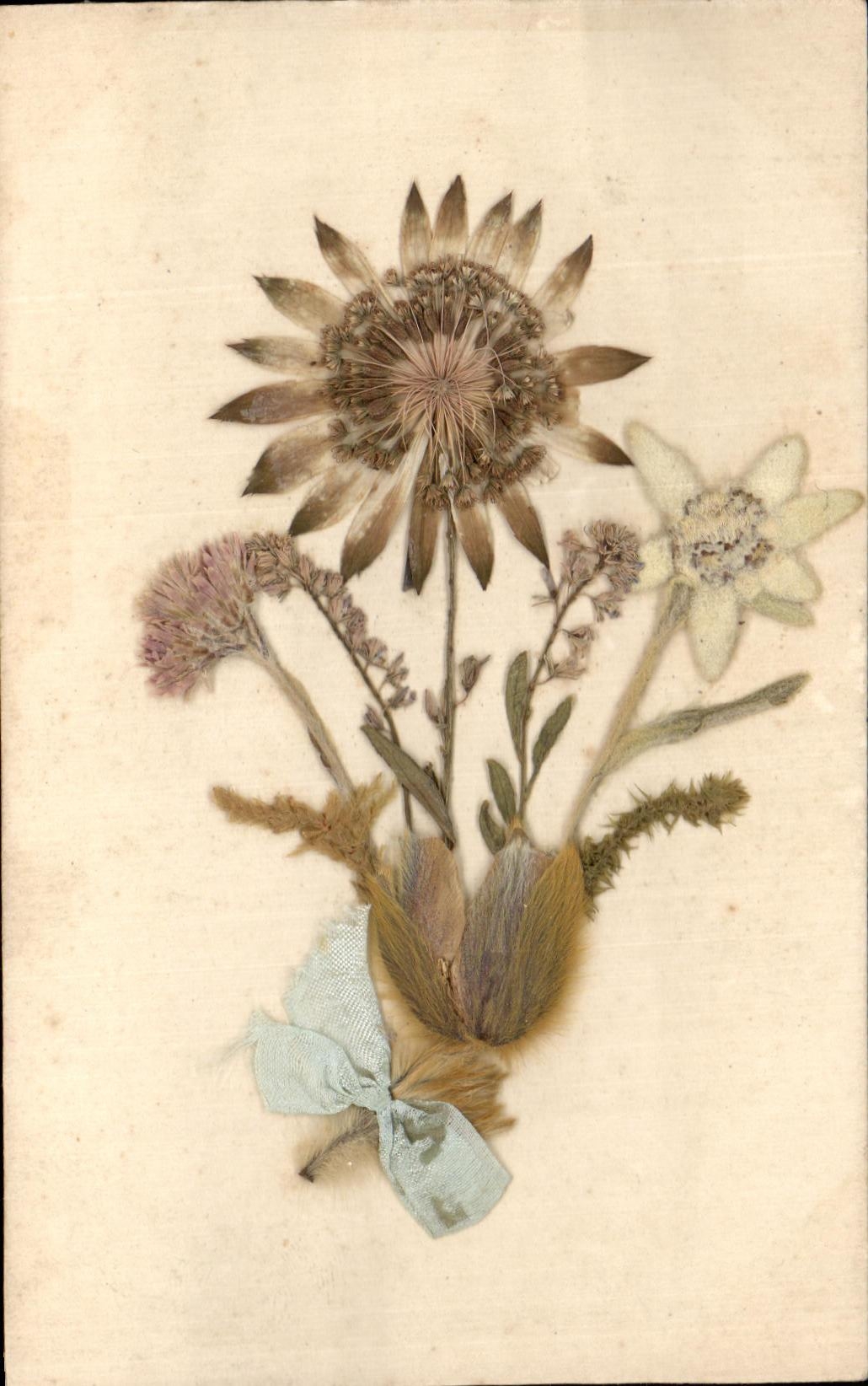 CPA Fantaisie Fleurs Sechees