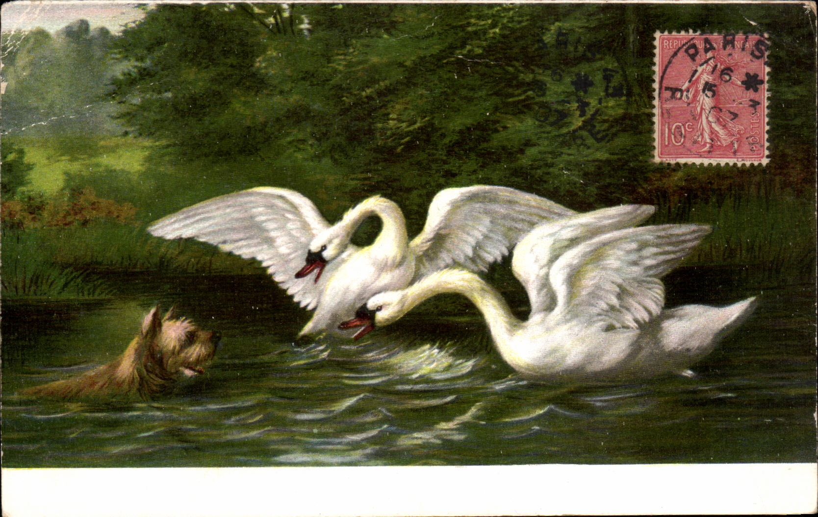 CPA Fantaisie Cygnes et chien 