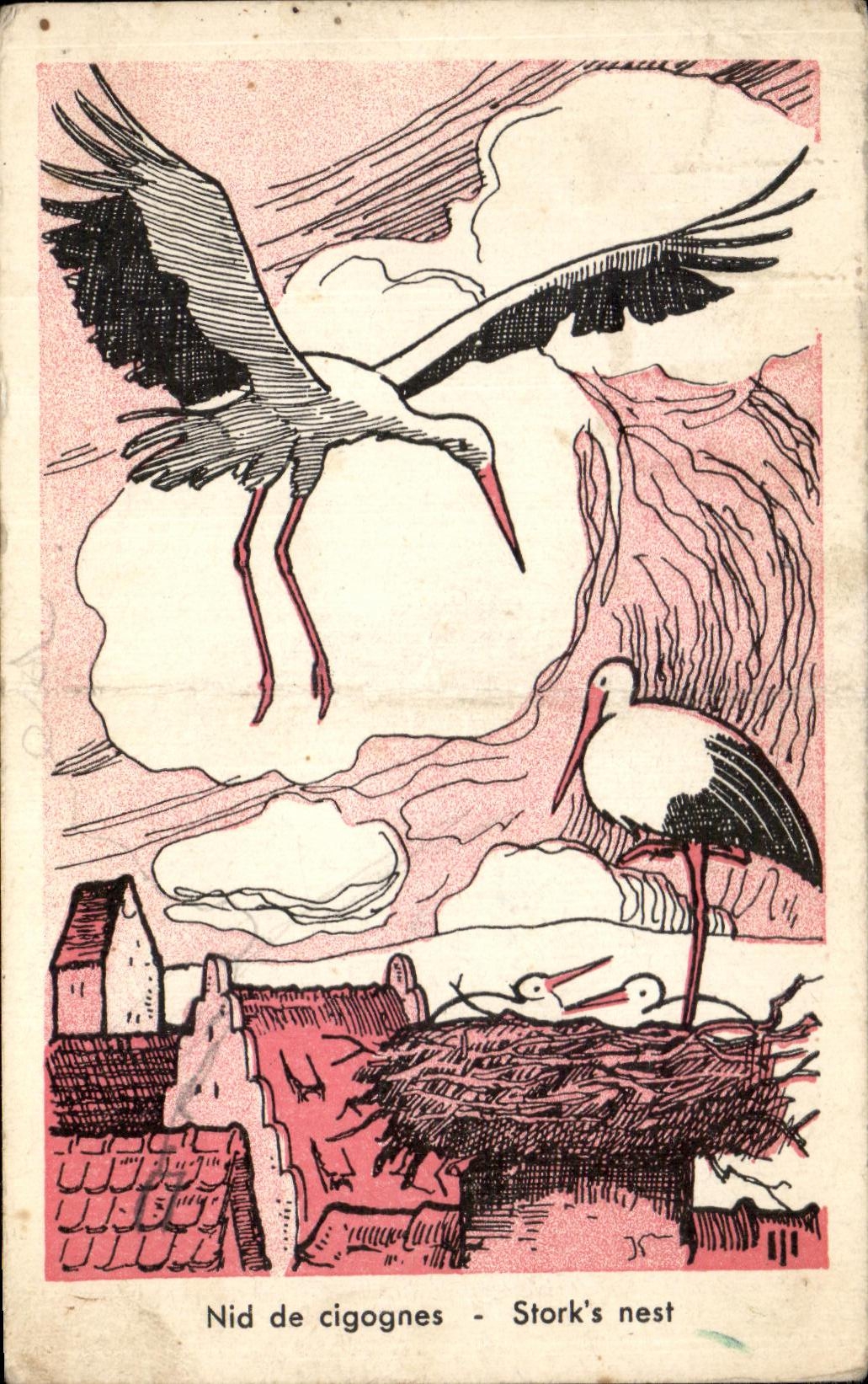 CPA Fantaisie Oiseaux Nid de cigogne 