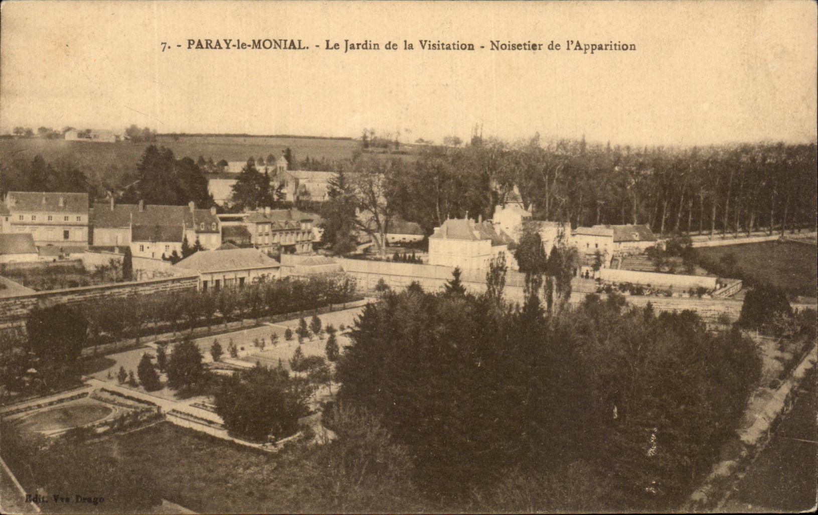 Paray-le-Monial - Le Jardin de la Visitation - Noisetier de l'Apparition