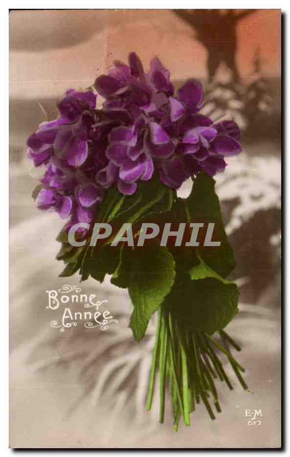 CPA Fantaisie Fleurs 