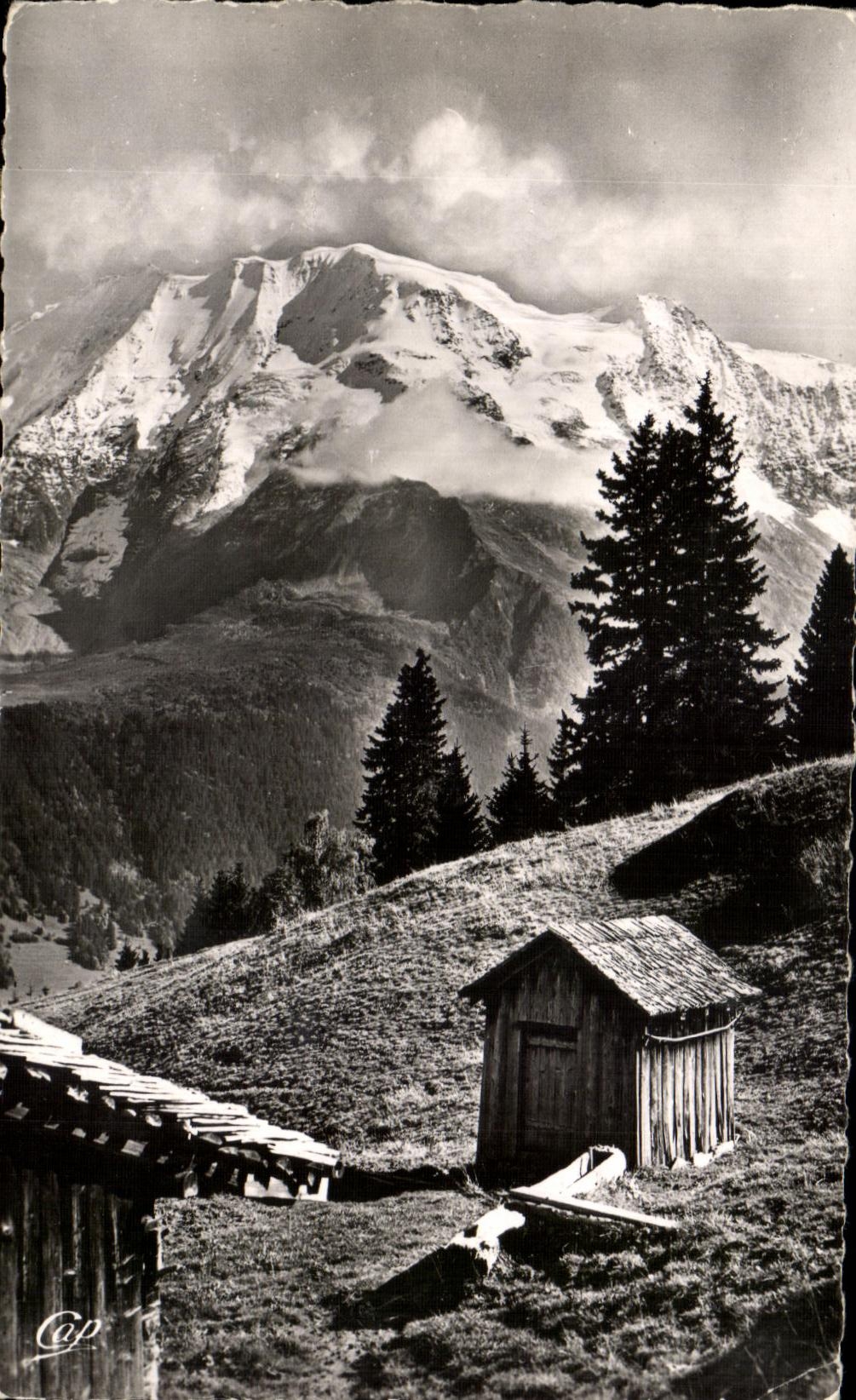 Mont Blanc — vue panoramique — C.A.P. (n° 56)
