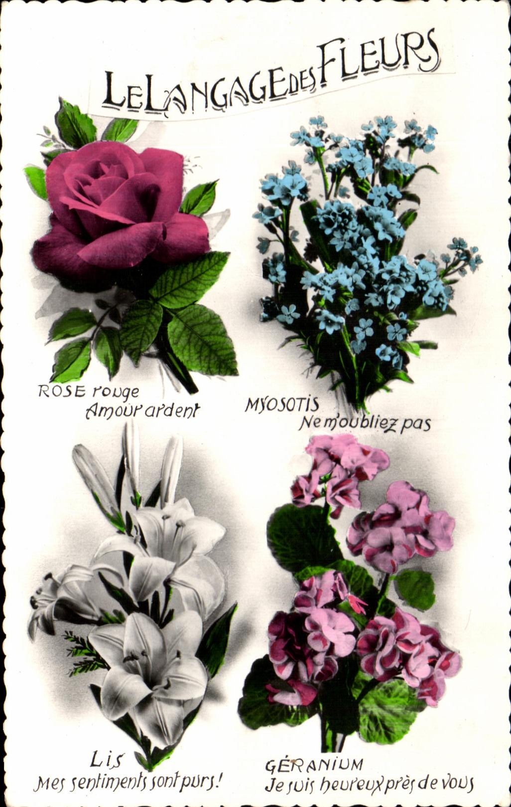 CPA Fantaisie Fleurs Rose lis Myosotis Geranium