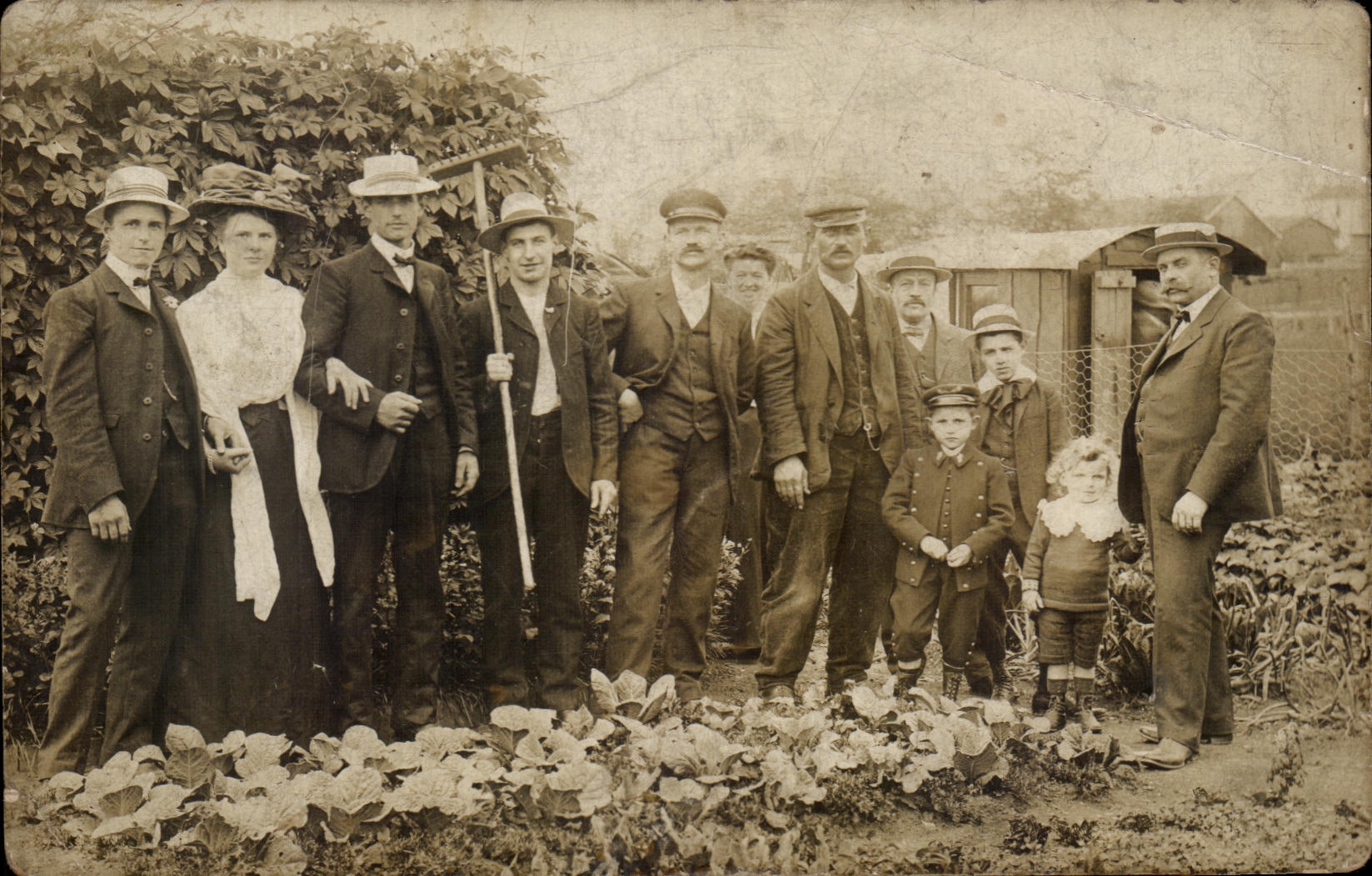 CARTE PHOTO Hommes au champs 