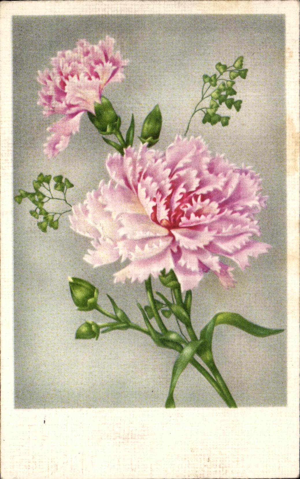 CPA Fantaisie Fleurs 