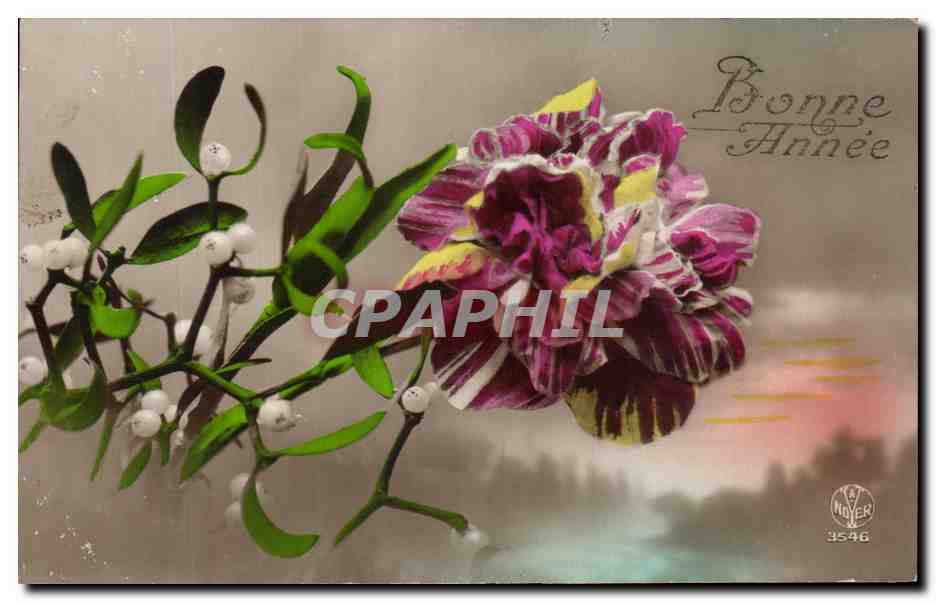CPA Fantaisie Fleurs Gui
