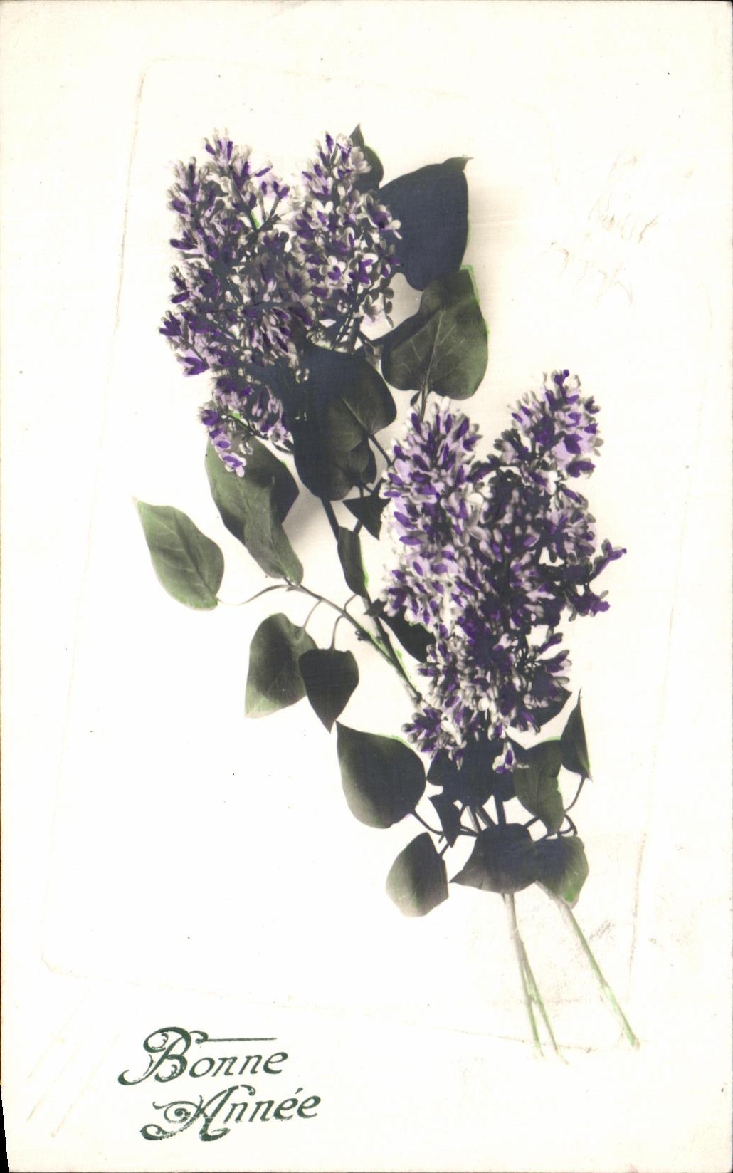 CPA Fantaisie Fleurs 
