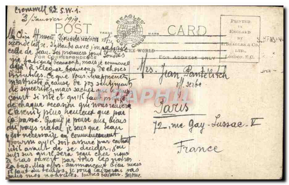 CPA Fantaisie Femme Miss Teddie Gerard Chien — Rückseite