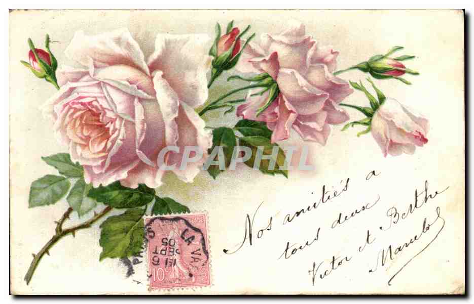 CPA Fantaisie Fleurs Roses