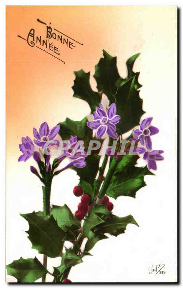 CPA Fantaisie Fleurs 