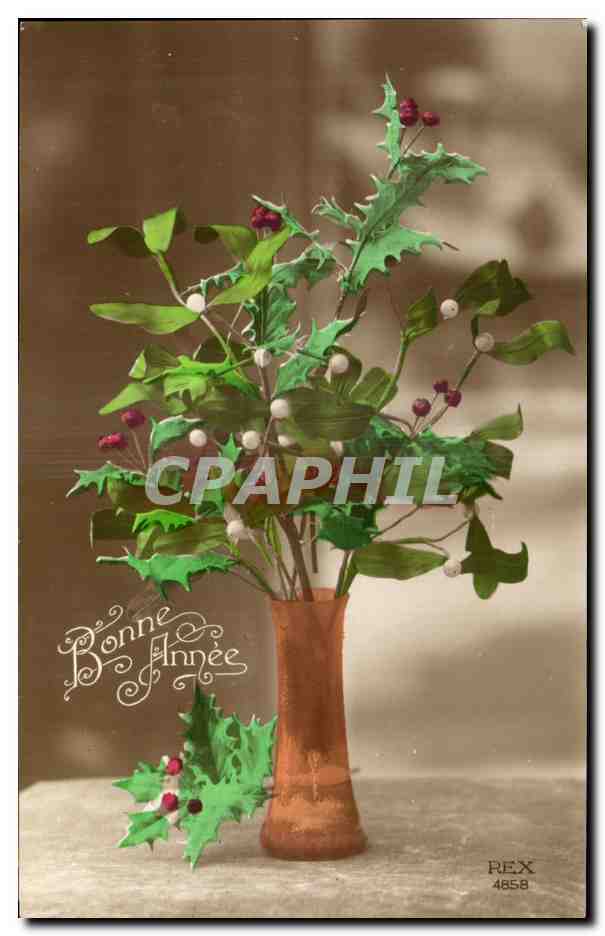 CPA Fantaisie Fleurs 